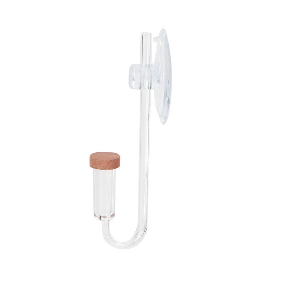 Acrylic Mini Fish Tank Live Pl - Aquarium Fish Quarantine 评论和价格