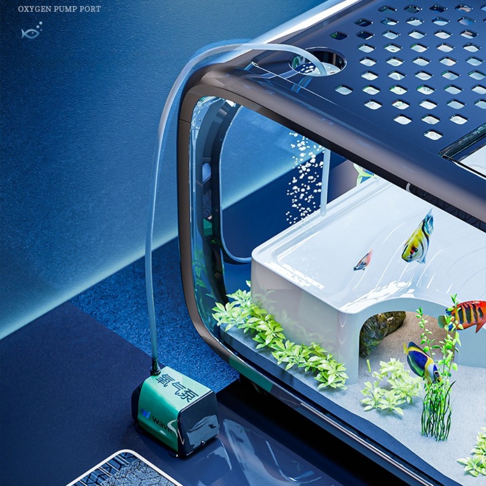 Transparent Luxury Fish Tank D - Aquarium Fish Only 评论和价格