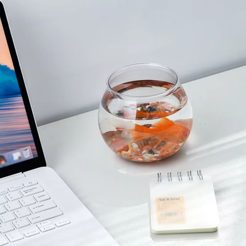 New Transparent Fish Tank Roun - Aquarium Goldfish 评论和价格