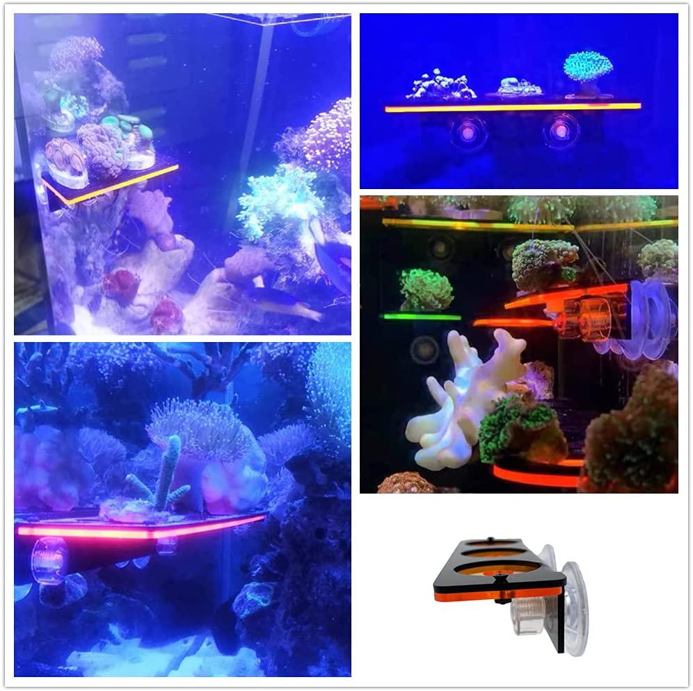 Fluorescent Coral Frag Plug Br - Aquarium Fish Tank Price 评论和价格