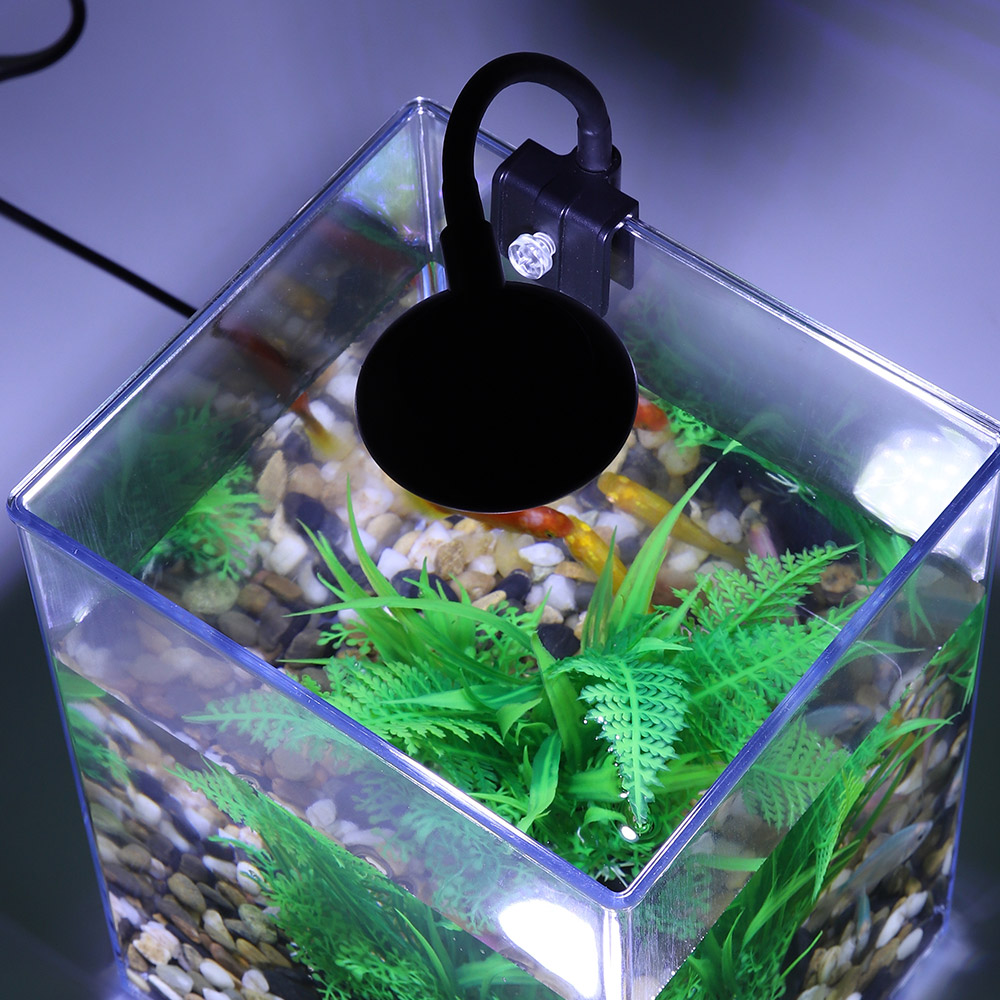 USB Desktop Fish Tank Set-Easy - Aquarium Goldfish 评论和价格