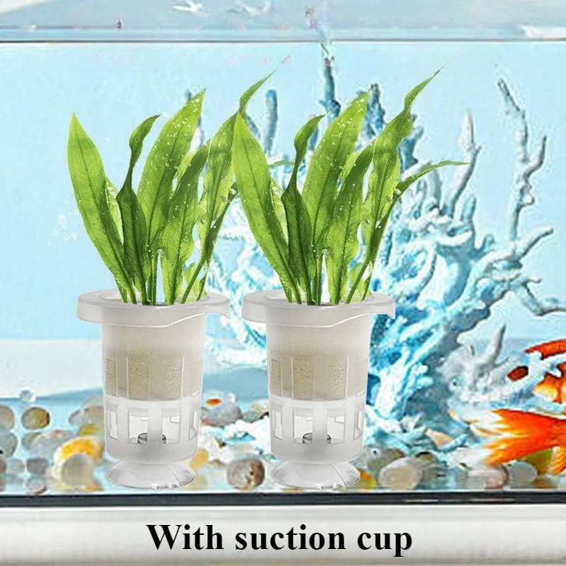 50pcs/10pcs Aquarium Planting  - Aquarium Fish Pot 评论和价格